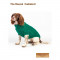 CC-Rascal-Green-03